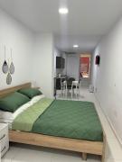 Mane Studio Apartment