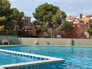 Top Playa Flamenca