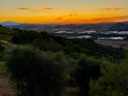 Top Colonnella