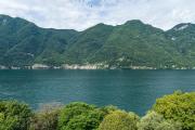 Top Nesso