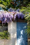 Top Antibes