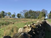 Top Allendale Town