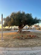 Top Alhama de Murcia