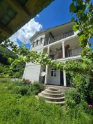 Blooming Yard Guest House