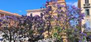 Top Olbia