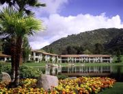 Top Escondido