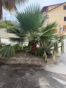 Top Tropea
