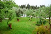 Top Tivat