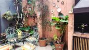 Beautiful house with patio, barbecue and super-equipped