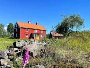 Top Figeholm