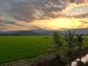 Top Ban Thung Na Khwan Top Ban Thung Na Khwan