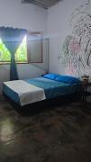Hostal Palomino EcoHouse & Camping