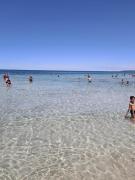 Top Gallipoli