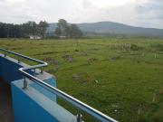 Top Araku