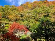 Top Tenkawa