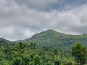 Top Kalasa Top Kalasa