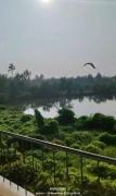 Top Goa Top Goa