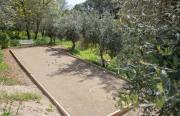 Top Trans-en-Provence
