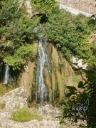 Top Trans-en-Provence