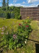 Peaceful Home with Sauna & Large Garden
