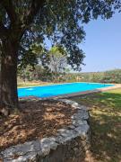 Top Castilblanco de los Arroyos