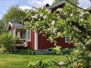 Top Halmstad
