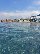 Top Scalea