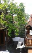 Top Bergheim