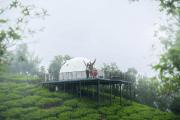 Top Vagamon