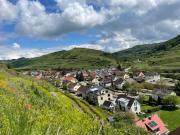 Top Vogtsburg