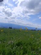 Top Kopaonik