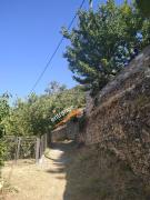 Top Agios Georgios Nilias