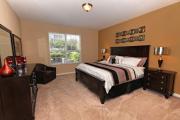 Top Orlando