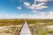 Top Cape San Blas