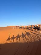 Top Merzouga