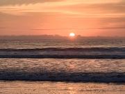 Top Arica