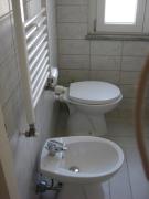 Top Vigevano