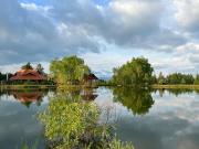 Top Borzont Top Borzont