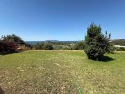 Top Finikounta
