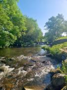 Top Uffculme