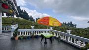 Top Darjeeling