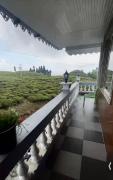 Top Darjeeling