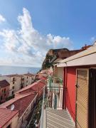 Top Scilla