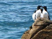 Top Perros-Guirec