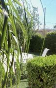 Galazio suites 3 Seaside