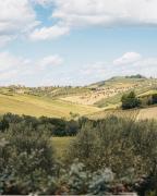 Top Citta SantAngelo