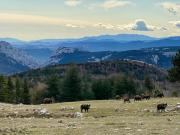 Top Camps-sur-lʼAgly