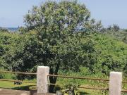 Top Port Shepstone