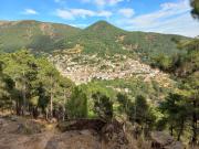 Top Mijares