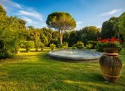 Top Lucca
